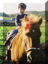 HunterHorse100502.jpg (119402 bytes)